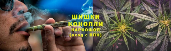 spice Беломорск