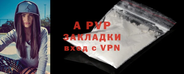 spice Беломорск