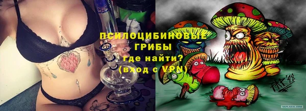 spice Беломорск