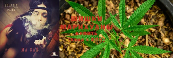 гидропоника Белокуриха
