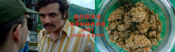 гидропоника Белокуриха
