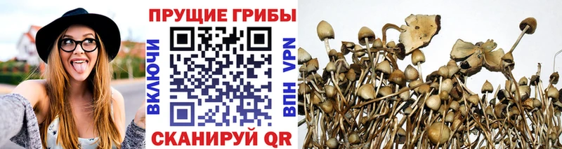 купить наркотики сайты Мариинский Посад Галлюциногенные грибы ЛСД